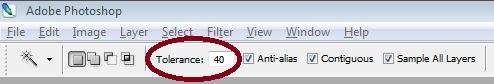 Tolerance - magic wand tool