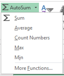 Auto sum - features of MS Excel in Hindi